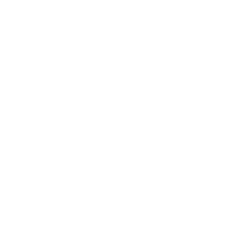 PrivacyPDF process